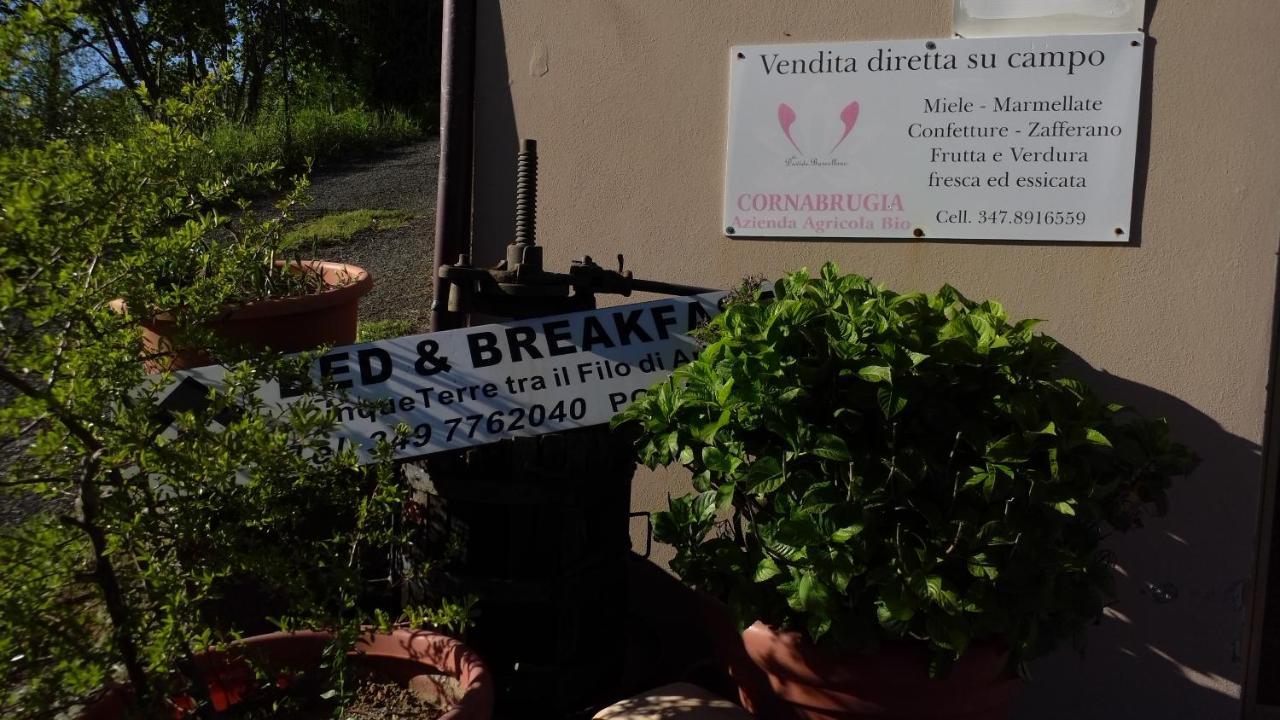 Cinque Terre Tra Il Filo Di Arianna Bed and Breakfast Riccο del Golfo di Spezia Εξωτερικό φωτογραφία