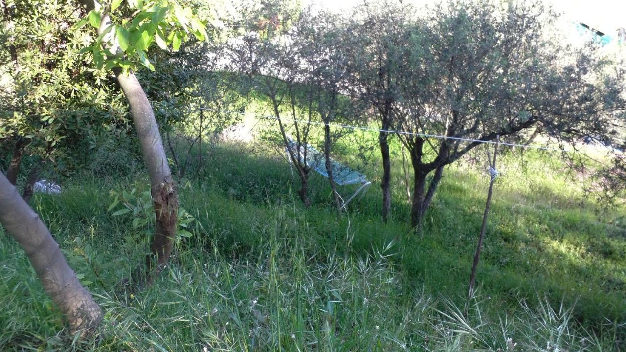 Cinque Terre Tra Il Filo Di Arianna Bed and Breakfast Riccο del Golfo di Spezia Εξωτερικό φωτογραφία